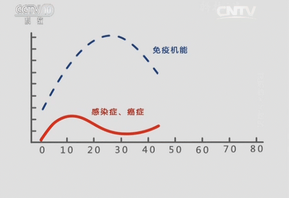 5.gif