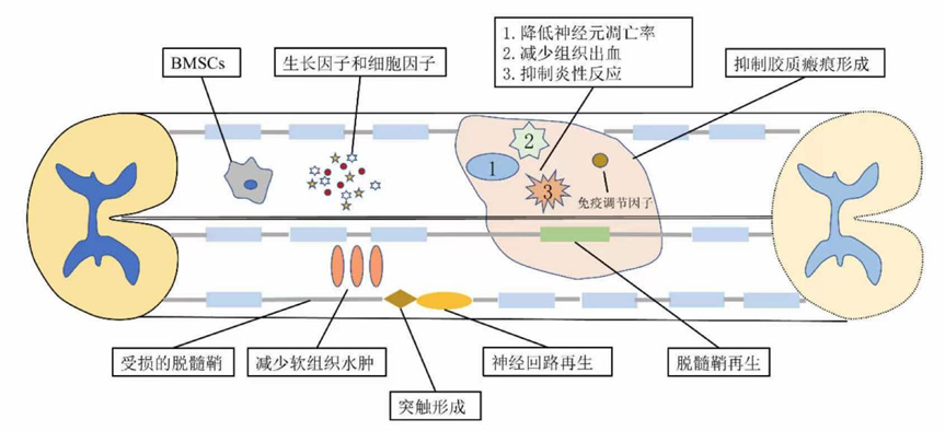 微信图片_20221117110815.png