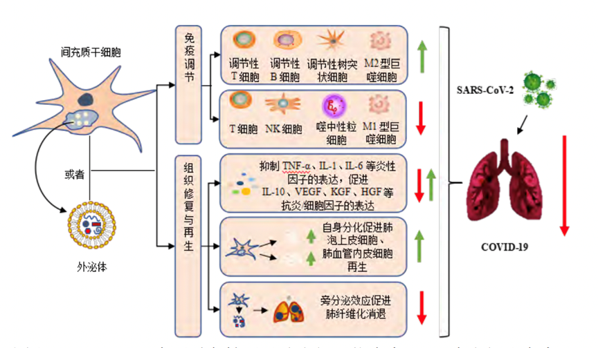 微信图片_20230207093455.png