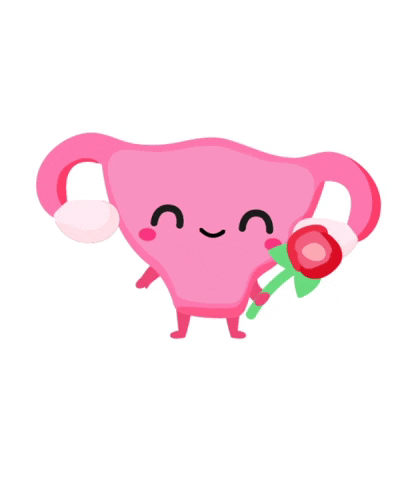 5.gif