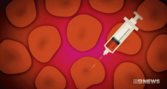 6.gif