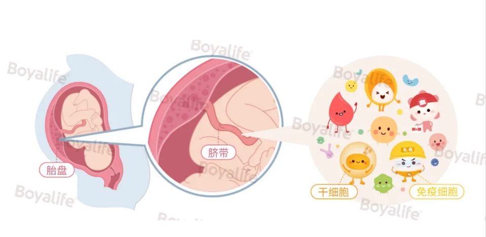 微信图片_20250711191502.png