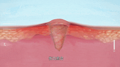 微信图片_20250716111158.gif