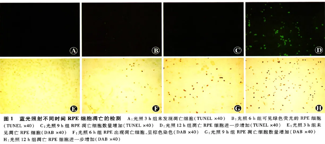 微信图片_2025-09-11_163005_050.png