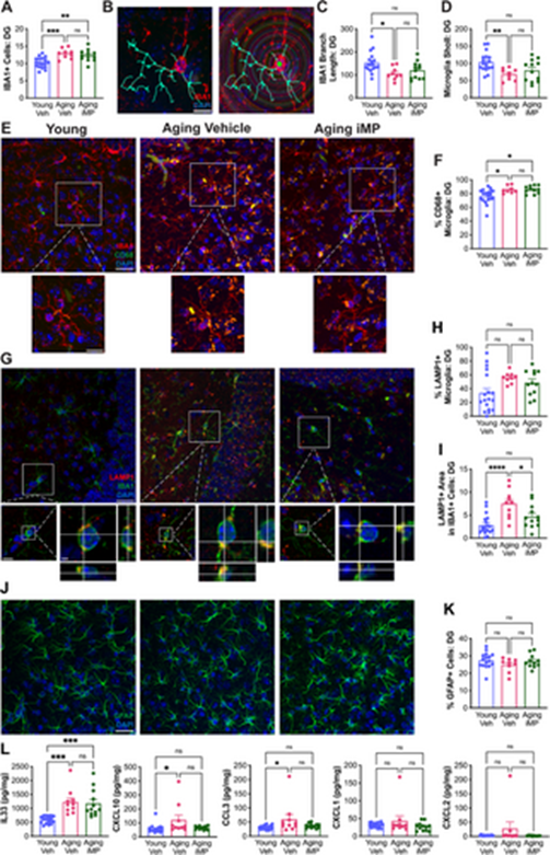 1762399098212620.png 2.png