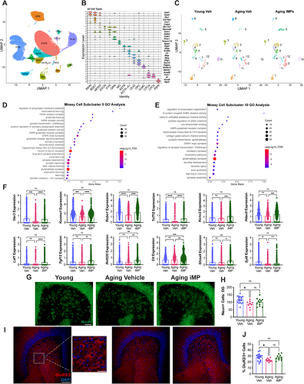 1762399106430920.png 3.png