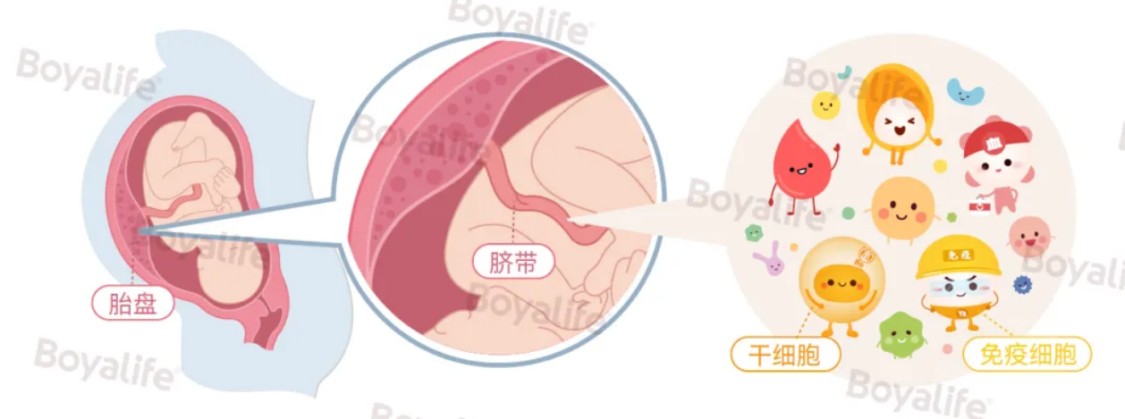 1762399730783737.png 6.png