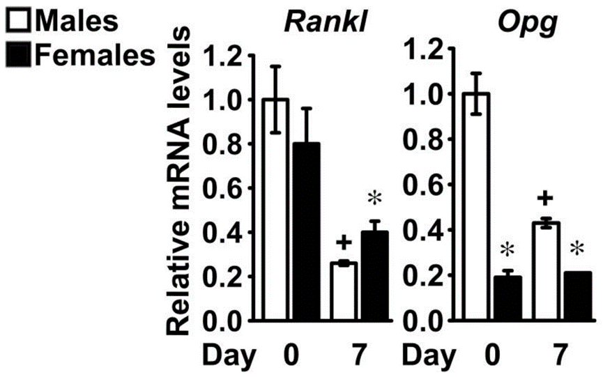 1762399782690358.png 7.png