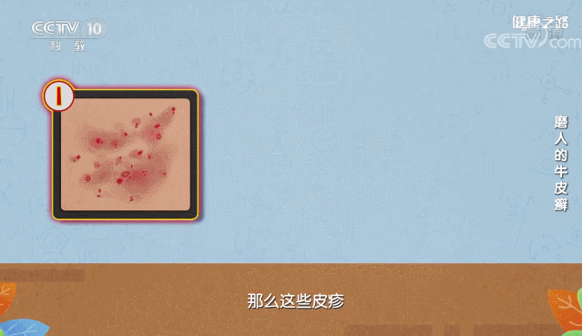 1762400039598356.jpg 2.jpg