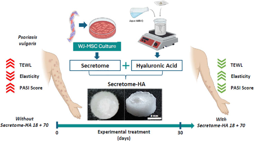 1762400057249240.png 4.png