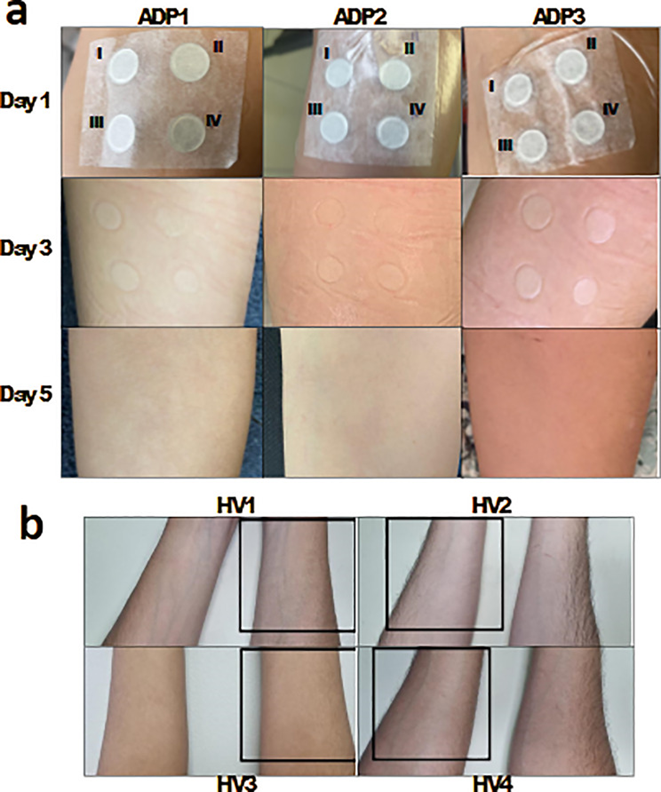 1762400068177463.png 5.png