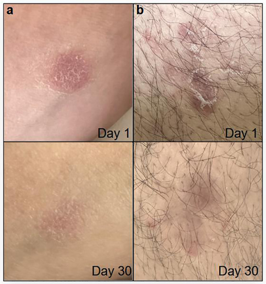 1762400077998122.png 6.png