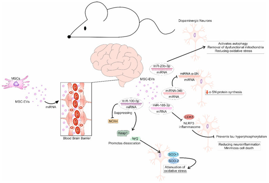 1765419104694834.png 3.png