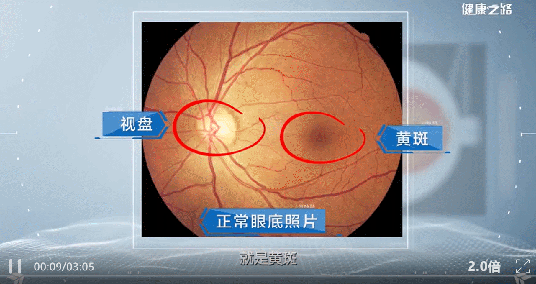 1765419375179958.jpg 1.jpg