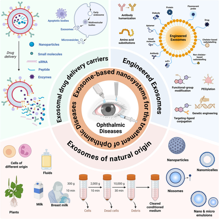 1765419400477179.png 4.png