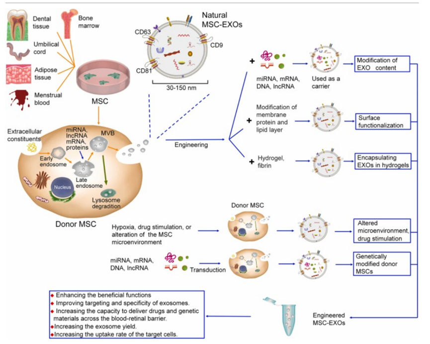 1765420700123587.png 7.png