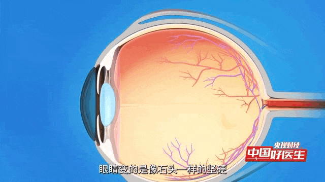 1765421105172858.jpg 1.jpg