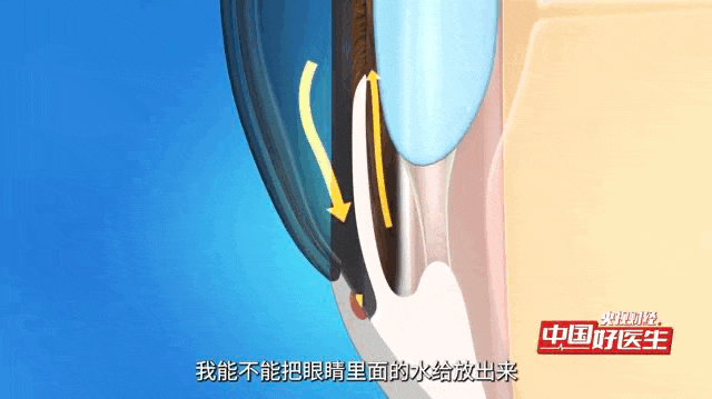 1765421115852416.jpg 2.jpg