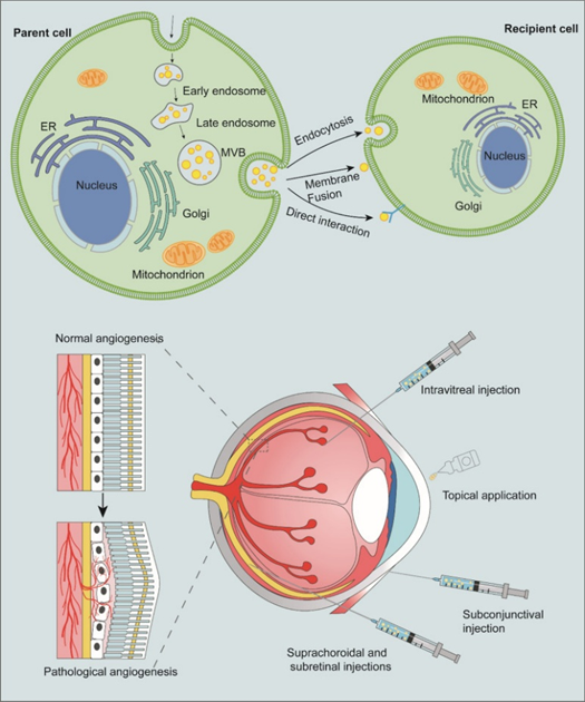 1765421142430145.png 5.png