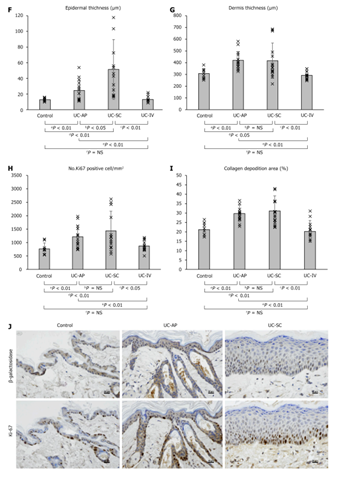 1765421406135218.png 4.png