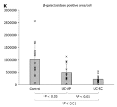 1765421411498351.png 5.png