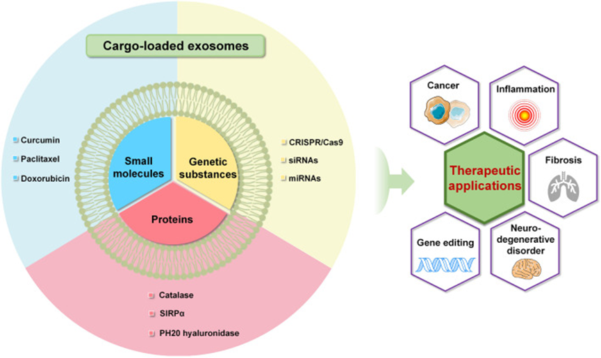 1765421719109227.png 10.png