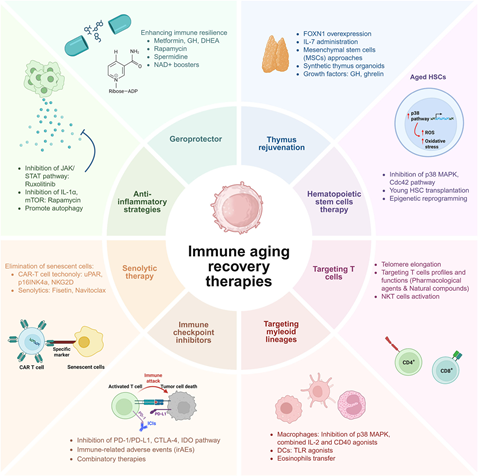 1765422336586264.png 3.png