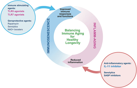 1765422342828447.png 4.png