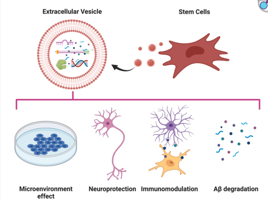 1770947553132464.png 微信图片_2026-02-13_095102_376.png