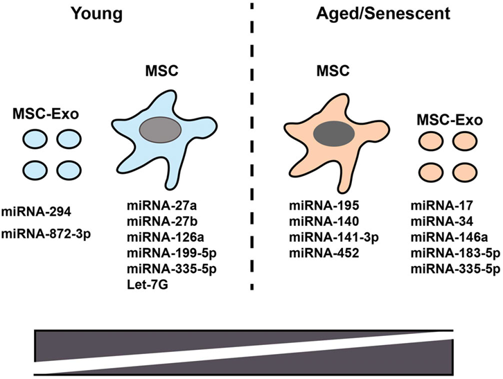 1770953336116065.png 微信图片_2026-02-13_112813_179.png