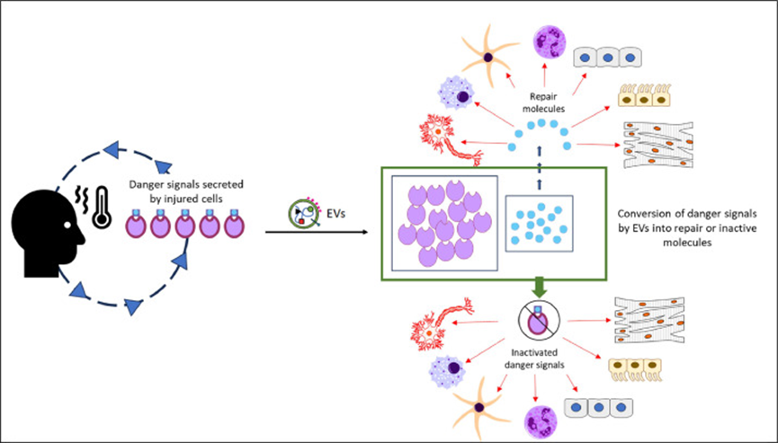 1770953352314992.png 微信图片_2026-02-13_112818_469.png