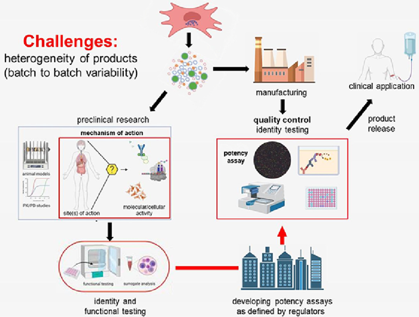 1770953366339606.png 微信图片_2026-02-13_112824_196.png