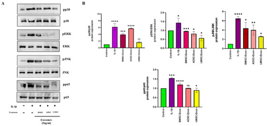 1772508967657955.png 4.png