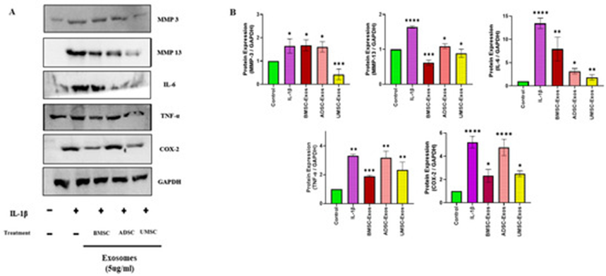 1772508975336250.png 5.png