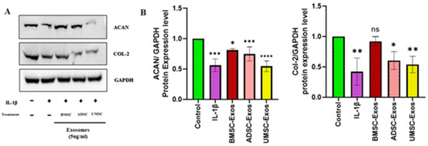 1772508981192653.png 6.png