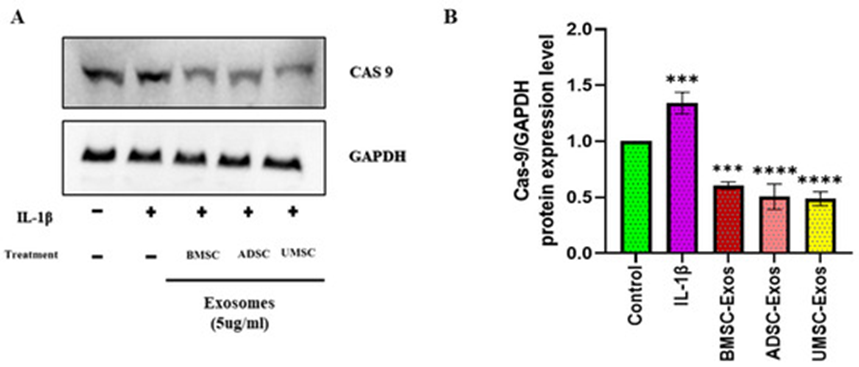 1772508990816657.png 7.png