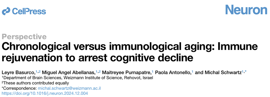 1772676944591084.png 62660bb9-6c44-427b-9dcd-485735483788.png