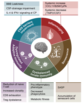 1772676960885034.png 5fe85d10-053b-47db-becf-0cb96944907d.png