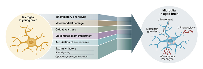 1772676975729173.png 78b35f41-f6ce-469b-a0b8-6971f8e4127c.png