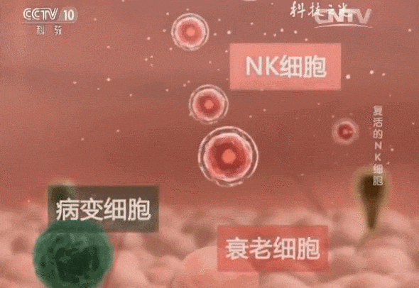 1772676983344254.gif 2873cfcd-82e0-4d1a-8743-79f4e89392df.gif