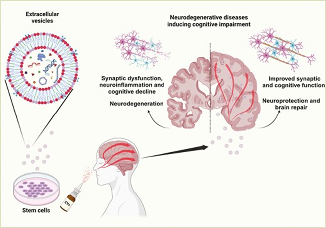 1772676990440129.png f59289b7-51de-4566-a6ce-740db0f414cd.png