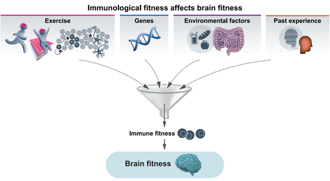 1772677121765062.png 40f8ad9f-3a97-412b-83a9-d1882991b864.png