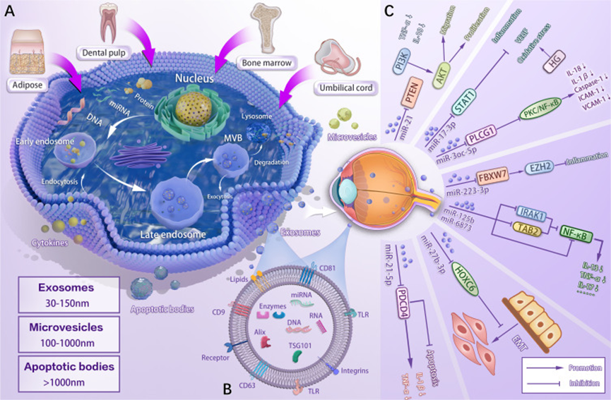 1772775420781026.png 微信图片_2026-03-06_133556_131.png