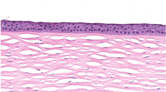 1772775434634159.png 微信图片_2026-03-06_133624_938.png