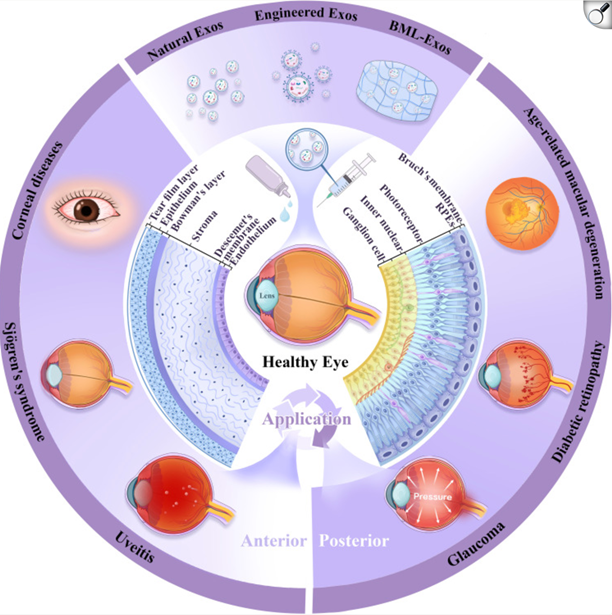 1772775575972174.png 微信图片_2026-03-06_133634_403.png