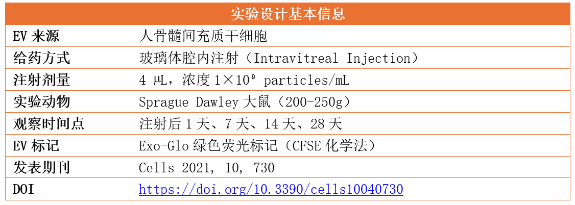 1781055122912574.png ff50d36b-73f4-40e1-8b2e-9f7da0ffdbe9.png