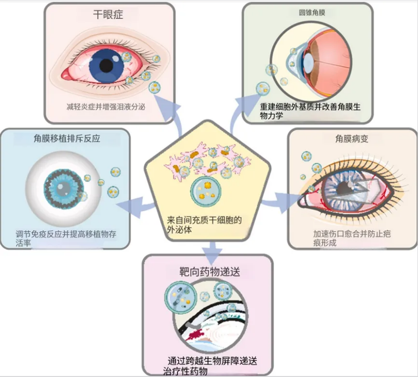 1784883346455276.png 微信图片_2026-07-24_165521_665.png