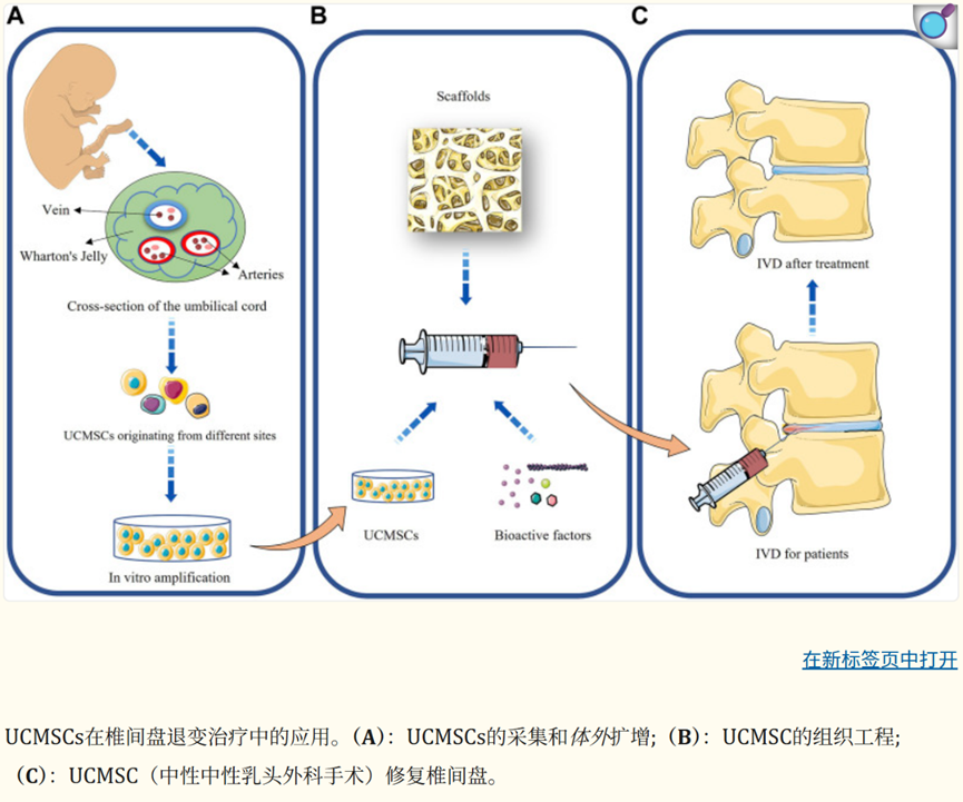 微信图片_2026-10-10_162423_967.png