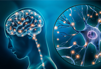 干细胞能改善哪些神经退行性问题？2025年新文献盘点适应症、临床结果…… 博雅干细胞 存储干细胞 存储健康