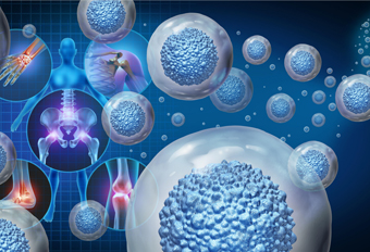 护软骨 + 强抗炎 + 抑凋亡，盘点干细胞外泌体改善骨关节炎的核心机制 博雅干细胞 存储干细胞 存储健康